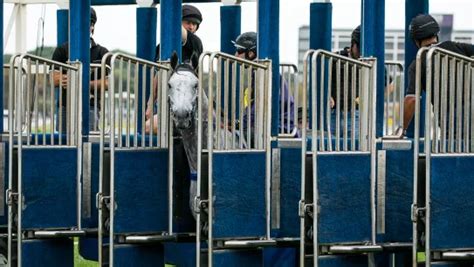 nsw trial replays|randwick trials replays.